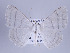  ( - ID 17088)  @14 [ ] Copyright (2010) Unspecified Institut fuer Spezielle Zoologie und Evolutionsbiologie, Friedrich-Schiller Universitat Jena