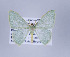  ( - ID 17113)  @12 [ ] Copyright (2010) Unspecified Institut fuer Spezielle Zoologie und Evolutionsbiologie, Friedrich-Schiller Universitat Jena