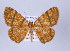  ( - ID 17120)  @14 [ ] Copyright (2010) Unspecified Institut fuer Spezielle Zoologie und Evolutionsbiologie, Friedrich-Schiller Universitat Jena