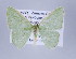  ( - ID 17148)  @13 [ ] Copyright (2010) Unspecified Institut fuer Spezielle Zoologie und Evolutionsbiologie, Friedrich-Schiller Universitat Jena