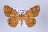  ( - ID 17160)  @14 [ ] Copyright (2010) Unspecified Institut fuer Spezielle Zoologie und Evolutionsbiologie, Friedrich-Schiller Universitat Jena