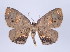  ( - ID 17181)  @13 [ ] Copyright (2010) Unspecified Institut fuer Spezielle Zoologie und Evolutionsbiologie, Friedrich-Schiller Universitat Jena