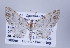 ( - ID 17200)  @14 [ ] Copyright (2010) Unspecified Institut fuer Spezielle Zoologie und Evolutionsbiologie, Friedrich-Schiller Universitat Jena