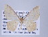  ( - ID 17222)  @13 [ ] Copyright (2010) Unspecified Institut fuer Spezielle Zoologie und Evolutionsbiologie, Friedrich-Schiller Universitat Jena