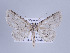  ( - ID 17229)  @14 [ ] Copyright (2010) Unspecified Institut fuer Spezielle Zoologie und Evolutionsbiologie, Friedrich-Schiller Universitat Jena