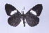  ( - ID 17252)  @13 [ ] Copyright (2010) Unspecified Institut fuer Spezielle Zoologie und Evolutionsbiologie, Friedrich-Schiller Universitat Jena