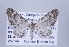  ( - ID 17307)  @14 [ ] Copyright (2010) Unspecified Institut fuer Spezielle Zoologie und Evolutionsbiologie, Friedrich-Schiller Universitat Jena