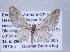  ( - ID 17322)  @14 [ ] Copyright (2010) Unspecified Institut fuer Spezielle Zoologie und Evolutionsbiologie, Friedrich-Schiller Universitat Jena