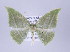  ( - ID 17338)  @13 [ ] Copyright (2010) Unspecified Institut fuer Spezielle Zoologie und Evolutionsbiologie, Friedrich-Schiller Universitat Jena