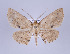  ( - ID 17358)  @14 [ ] Copyright (2010) Unspecified Institut fuer Spezielle Zoologie und Evolutionsbiologie, Friedrich-Schiller Universitat Jena