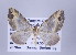  ( - ID 17377)  @13 [ ] Copyright (2010) Unspecified Institut fuer Spezielle Zoologie und Evolutionsbiologie, Friedrich-Schiller Universitat Jena