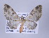  ( - ID 17386)  @14 [ ] Copyright (2010) Unspecified Institut fuer Spezielle Zoologie und Evolutionsbiologie, Friedrich-Schiller Universitat Jena