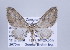  ( - ID 17409)  @14 [ ] Copyright (2010) Unspecified Institut fuer Spezielle Zoologie und Evolutionsbiologie, Friedrich-Schiller Universitat Jena