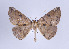  ( - ID 17428)  @13 [ ] Copyright (2010) Unspecified Institut fuer Spezielle Zoologie und Evolutionsbiologie, Friedrich-Schiller Universitat Jena