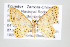  ( - ID 17529)  @14 [ ] Copyright (2010) Unspecified Institut fuer Spezielle Zoologie und Evolutionsbiologie, Friedrich-Schiller Universitat Jena