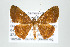  ( - ID 17546)  @14 [ ] Copyright (2010) Unspecified Institut fuer Spezielle Zoologie und Evolutionsbiologie, Friedrich-Schiller Universitat Jena