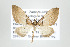  ( - ID 17570)  @14 [ ] Copyright (2010) Unspecified Institut fuer Spezielle Zoologie und Evolutionsbiologie, Friedrich-Schiller Universitat Jena