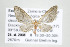  ( - ID 17582)  @14 [ ] Copyright (2010) Unspecified Institut fuer Spezielle Zoologie und Evolutionsbiologie, Friedrich-Schiller Universitat Jena