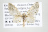  ( - ID 17588)  @14 [ ] Copyright (2010) Unspecified Institut fuer Spezielle Zoologie und Evolutionsbiologie, Friedrich-Schiller Universitat Jena