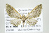  ( - ID 17601)  @14 [ ] Copyright (2010) Unspecified Institut fuer Spezielle Zoologie und Evolutionsbiologie, Friedrich-Schiller Universitat Jena