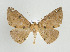  ( - ID 17607)  @13 [ ] Copyright (2010) Unspecified Institut fuer Spezielle Zoologie und Evolutionsbiologie, Friedrich-Schiller Universitat Jena