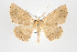  ( - ID 17650)  @14 [ ] Copyright (2010) Unspecified Institut fuer Spezielle Zoologie und Evolutionsbiologie, Friedrich-Schiller Universitat Jena