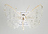  ( - ID 17666)  @14 [ ] Copyright (2010) Unspecified Institut fuer Spezielle Zoologie und Evolutionsbiologie, Friedrich-Schiller Universitat Jena