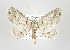  ( - ID 17687)  @14 [ ] Copyright (2010) Unspecified Institut fuer Spezielle Zoologie und Evolutionsbiologie, Friedrich-Schiller Universitat Jena