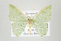  ( - ID 17694)  @13 [ ] Copyright (2010) Unspecified Institut fuer Spezielle Zoologie und Evolutionsbiologie, Friedrich-Schiller Universitat Jena