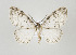  ( - ID 17711)  @14 [ ] Copyright (2010) Unspecified Institut fuer Spezielle Zoologie und Evolutionsbiologie, Friedrich-Schiller Universitat Jena