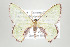  ( - ID 17745)  @13 [ ] Copyright (2010) Unspecified Institut fuer Spezielle Zoologie und Evolutionsbiologie, Friedrich-Schiller Universitat Jena