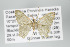  ( - GeoCR 25211)  @12 [ ] Copyright (2010) Unspecified Institut fuer Spezielle Zoologie und Evolutionsbiologie, Friedrich-Schiller Universitat Jena