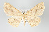  ( - GeoCR 26527)  @11 [ ] Copyright (2010) Unspecified Institut fuer Spezielle Zoologie und Evolutionsbiologie, Friedrich-Schiller Universitat Jena