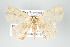  ( - GeoCR 26533)  @11 [ ] Copyright (2010) Unspecified Institut fuer Spezielle Zoologie und Evolutionsbiologie, Friedrich-Schiller Universitat Jena