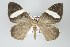  ( - GeoCR 27362)  @11 [ ] Copyright (2010) Unspecified Institut fuer Spezielle Zoologie und Evolutionsbiologie, Friedrich-Schiller Universitat Jena