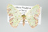  ( - GeoCR 27470)  @13 [ ] Copyright (2010) Unspecified Institut fuer Spezielle Zoologie und Evolutionsbiologie, Friedrich-Schiller Universitat Jena