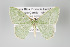  ( - GeoCR 27523)  @14 [ ] Copyright (2010) Unspecified Institut fuer Spezielle Zoologie und Evolutionsbiologie, Friedrich-Schiller Universitat Jena