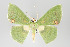  ( - GeoCR 27722)  @11 [ ] Copyright (2010) Unspecified Institut fuer Spezielle Zoologie und Evolutionsbiologie, Friedrich-Schiller Universitat Jena