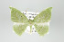  ( - GeoCR 27752)  @11 [ ] Copyright (2010) Unspecified Institut fuer Spezielle Zoologie und Evolutionsbiologie, Friedrich-Schiller Universitat Jena