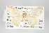  ( - GeoCR 28042)  @13 [ ] Copyright (2010) Unspecified Institut fuer Spezielle Zoologie und Evolutionsbiologie, Friedrich-Schiller Universitat Jena