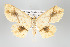  ( - GeoCR 30252)  @11 [ ] Copyright (2010) Unspecified Institut fuer Spezielle Zoologie und Evolutionsbiologie, Friedrich-Schiller Universitat Jena
