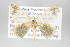  ( - GeoCR 33296)  @12 [ ] Copyright (2010) Unspecified Institut fuer Spezielle Zoologie und Evolutionsbiologie, Friedrich-Schiller Universitat Jena