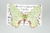  ( - GeoCR 34102)  @13 [ ] Copyright (2010) Unspecified Institut fuer Spezielle Zoologie und Evolutionsbiologie, Friedrich-Schiller Universitat Jena