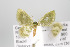  ( - GeoCR 34106)  @13 [ ] Copyright (2010) Unspecified Institut fuer Spezielle Zoologie und Evolutionsbiologie, Friedrich-Schiller Universitat Jena