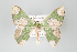  ( - GeoCR 36530)  @14 [ ] Copyright (2010) Unspecified Institut fuer Spezielle Zoologie und Evolutionsbiologie, Friedrich-Schiller Universitat Jena
