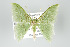  ( - GeoCR 36531)  @14 [ ] Copyright (2010) Unspecified Institut fuer Spezielle Zoologie und Evolutionsbiologie, Friedrich-Schiller Universitat Jena