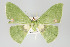  ( - GeoCR 36585)  @13 [ ] Copyright (2010) Unspecified Institut fuer Spezielle Zoologie und Evolutionsbiologie, Friedrich-Schiller Universitat Jena