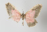  ( - Callipia-gb 0168)  @11 [ ] Copyright (2010) Unspecified Institut fuer Spezielle Zoologie und Evolutionsbiologie, Friedrich-Schiller Universitat Jena