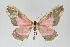  ( - Callipia-gb 0351)  @11 [ ] Copyright (2010) Unspecified Institut fuer Spezielle Zoologie und Evolutionsbiologie, Friedrich-Schiller Universitat Jena