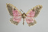  ( - Callipia-gb 0360)  @11 [ ] Copyright (2010) Unspecified Institut fuer Spezielle Zoologie und Evolutionsbiologie, Friedrich-Schiller Universitat Jena